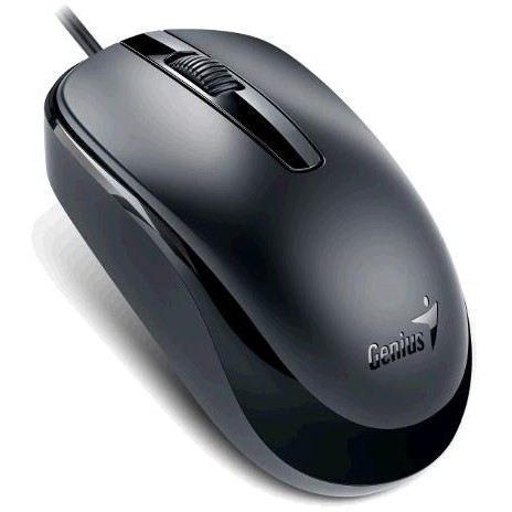 Mouse GENIUS DX-120, Black, USB 31010105100