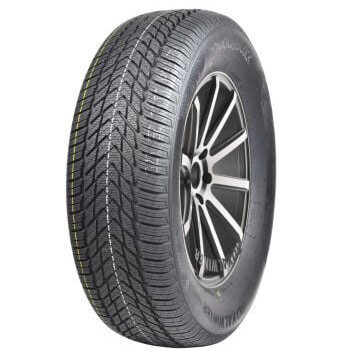 Anvelopa Iarna Royal Winter HP 175/70 R13 82T