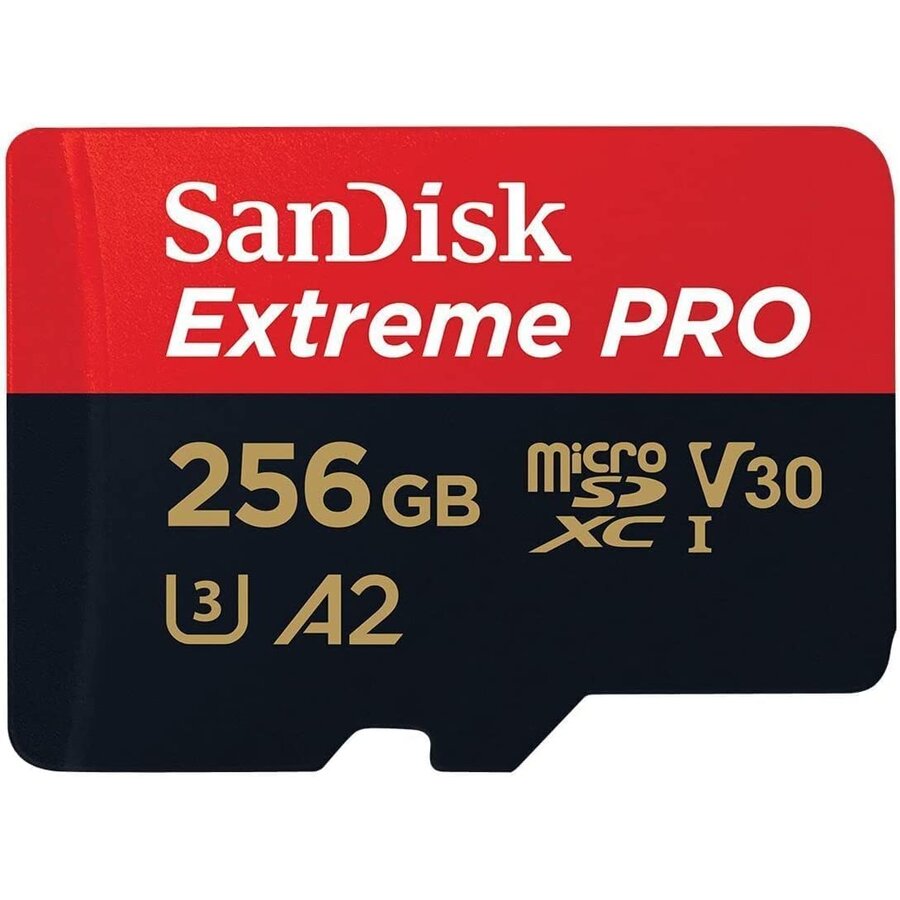 Card de Memorie High Endurance 256GB