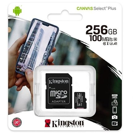 Card MINCRO SD CARD 256GB CLASTONS 10