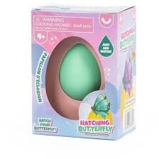 Experiment Ou  Fluturas Multicolor