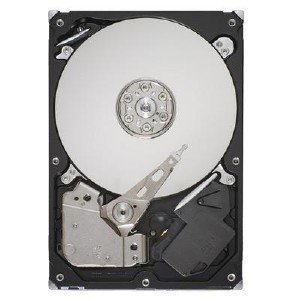 Hard disk Refurbished Barracuda 250GB ST3250312AS