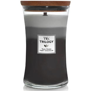 Lumanare Parfumata Wood Smoke 609.5g Multicolor