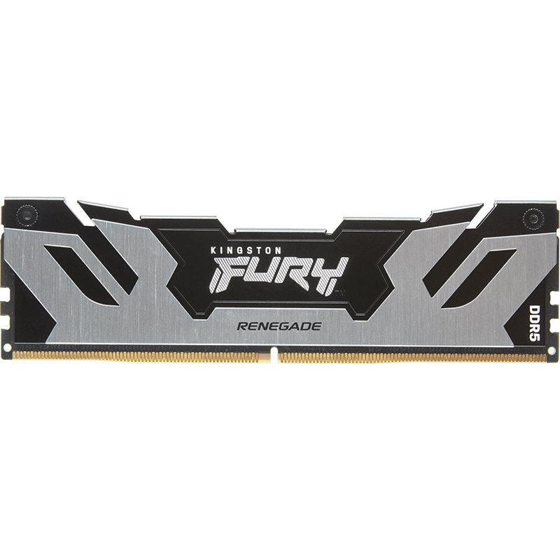 Memorie Renegade Silver 16GB DDR5 6400MHz CL32