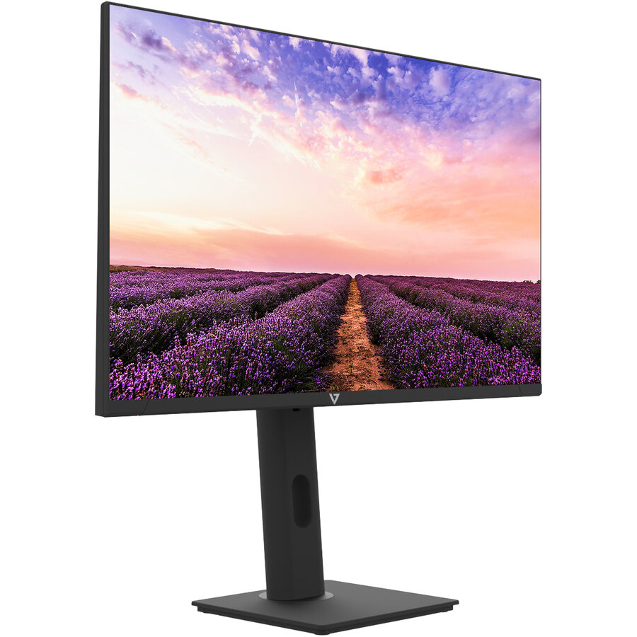 Monitor LS24D400GAUXEN  24inch Full HD IPS 100Hz Negru