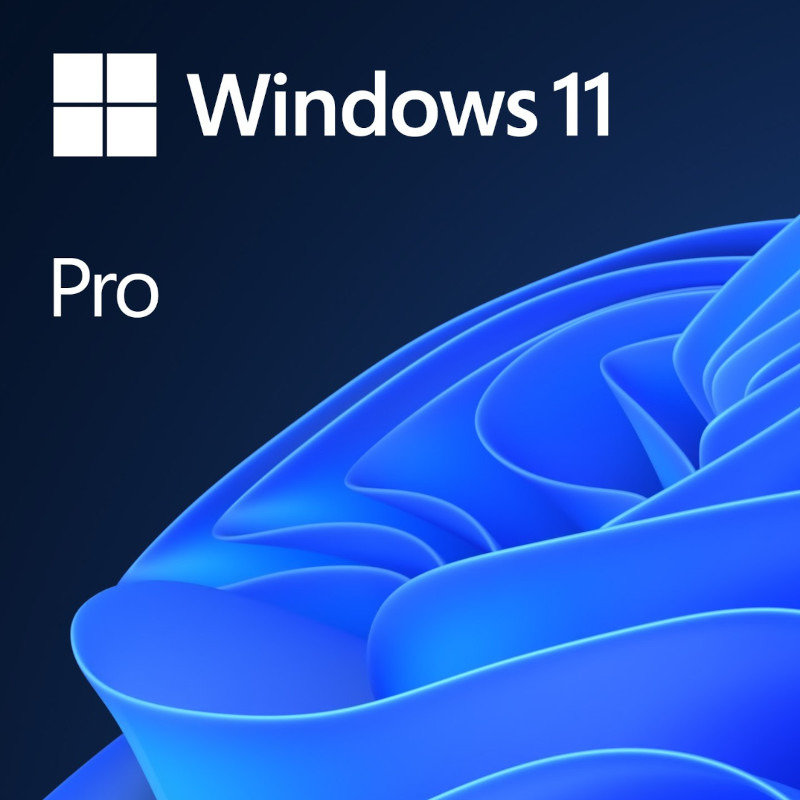 Sistem operare Windows 11 Pro 64-bit Engleza Retail/FPP USB Flash