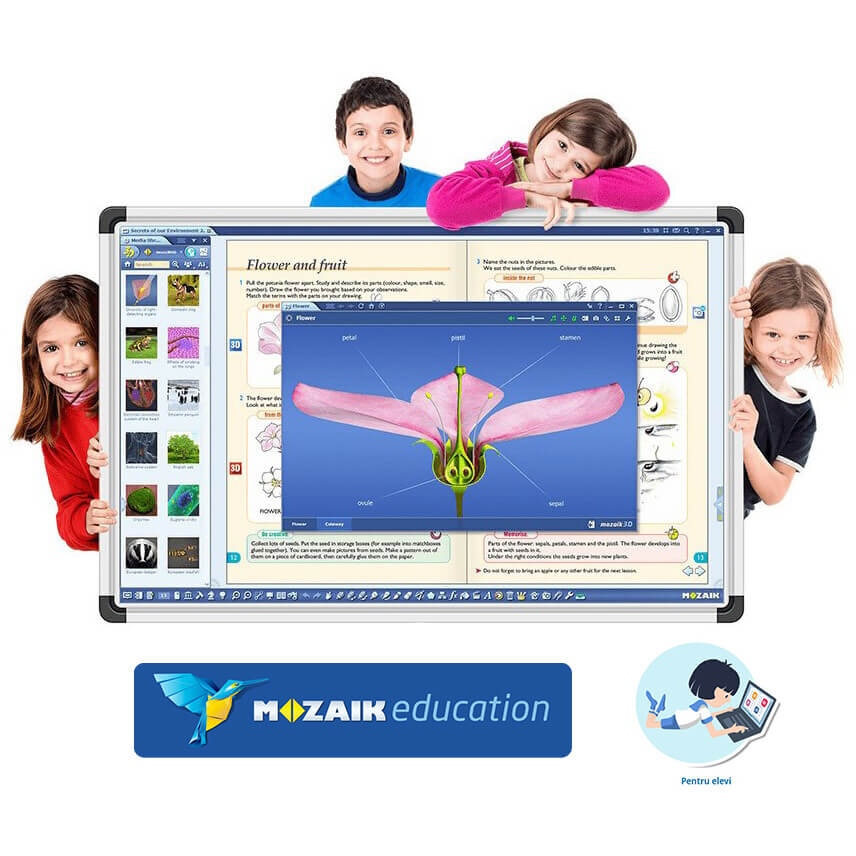Software Educativ Mozaik Student Lectii Interactive in Timp Real Licenta 1 Cont Utilizator / 3 Ani