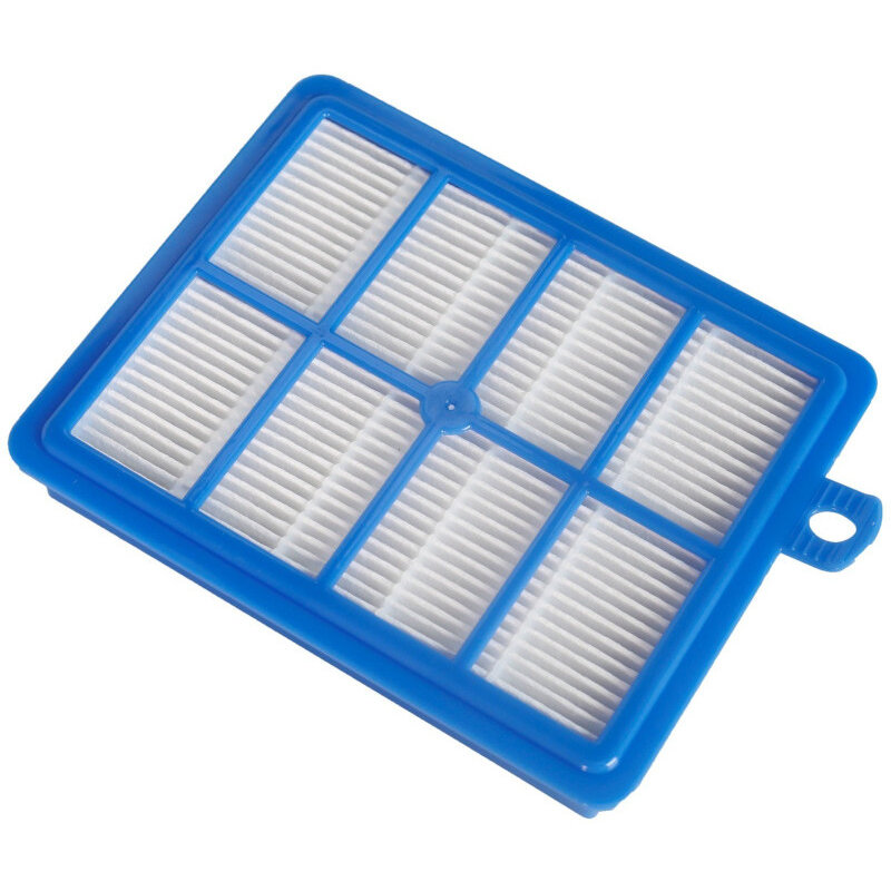 Accesoriu aspirator Filtru aspirator EFS1W