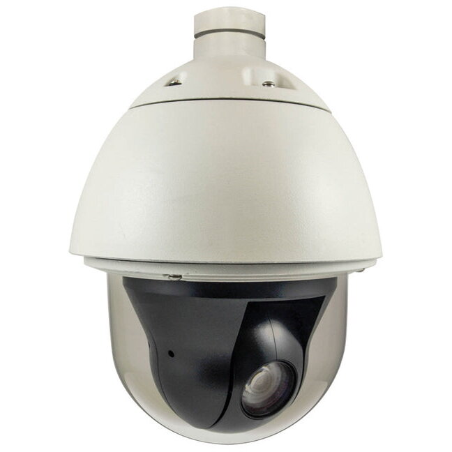 Camera Supraveghere IPCam FCS-4042 PTZ30x Dome Out 2MP H.264 31,5W PoE