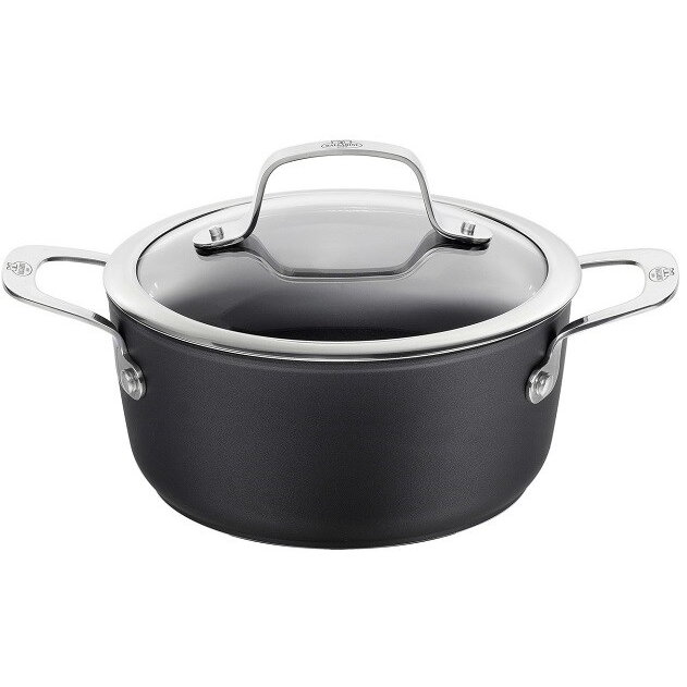 Vas Pentru Gatit Alba pot with lid titanium 2.7 L ALBG2LD.20D